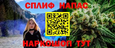шишки Павлово