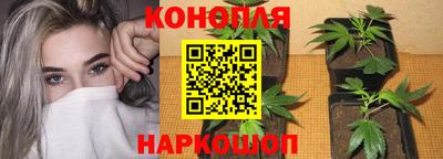 шишки Павлово