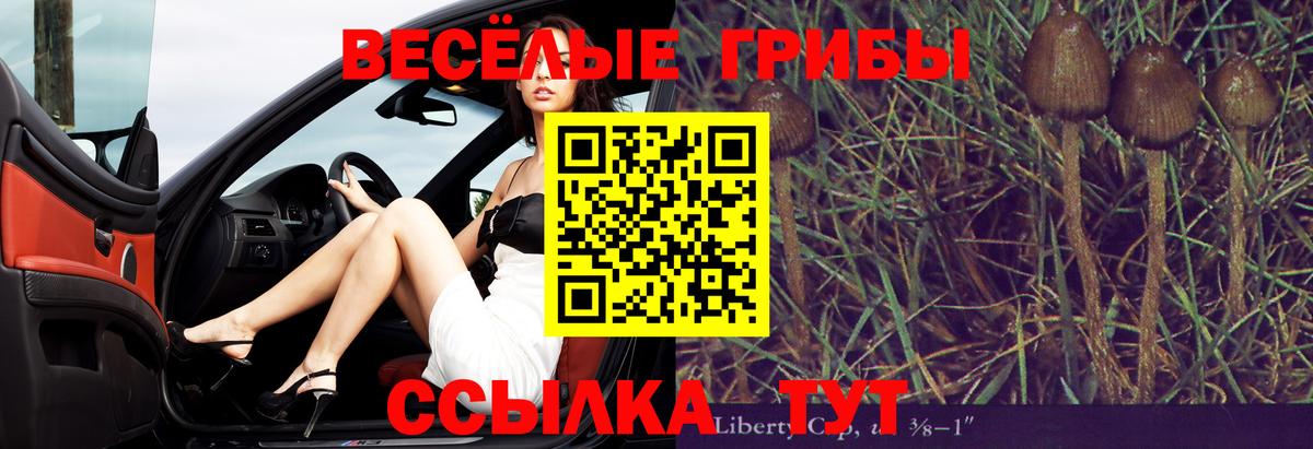 Галлюциногенные грибы GOLDEN TEACHER Ачхой-Мартан